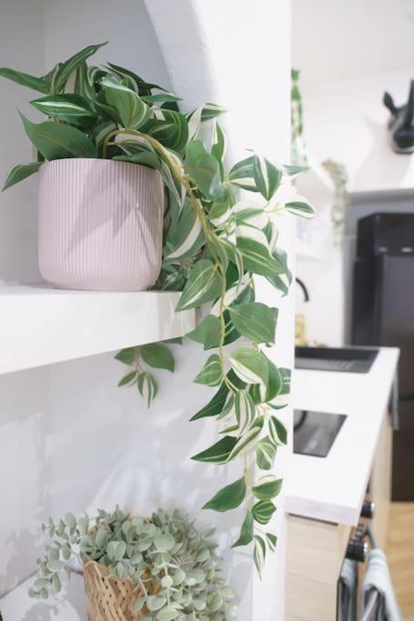 La Casa Del Chic Apartment Cabestany Bagian luar foto